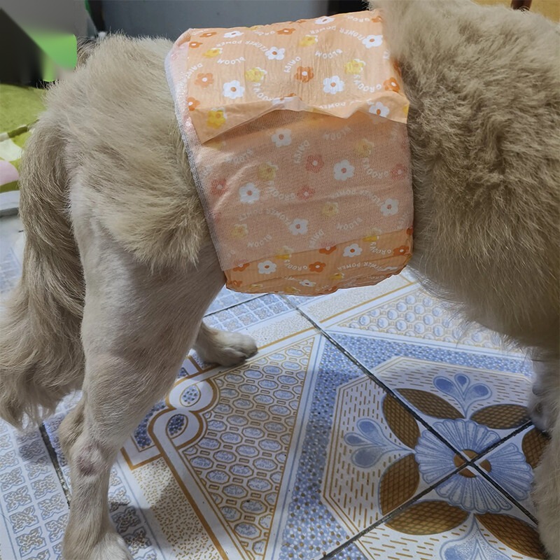 Pet Diapers  OEM