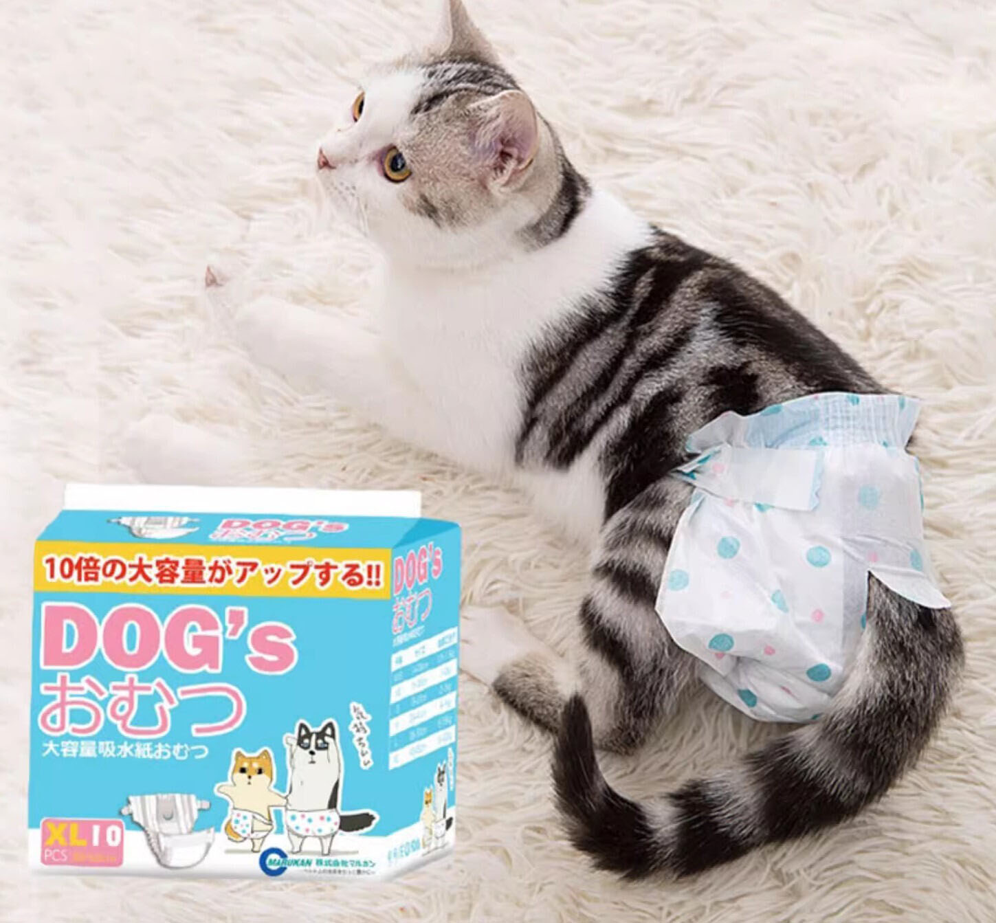 Pet Diapers  OEM